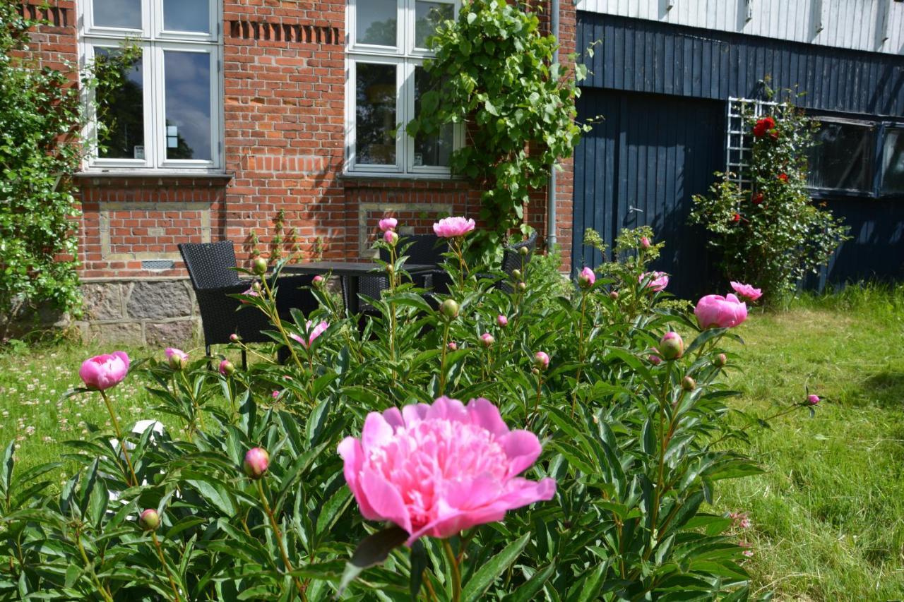 Kirkely Bed And Breakfast Vester Ulslev Zewnętrze zdjęcie